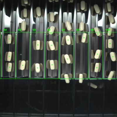 Automatische visuelle Inspektionsmaschine für Tablets