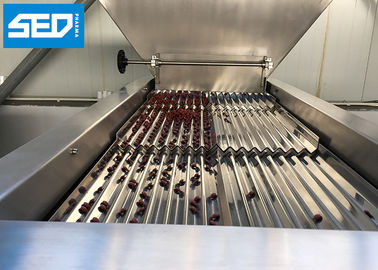 Elektronische Soft-Gelatin-Kapselzähler mit Siemens-Touchscreen